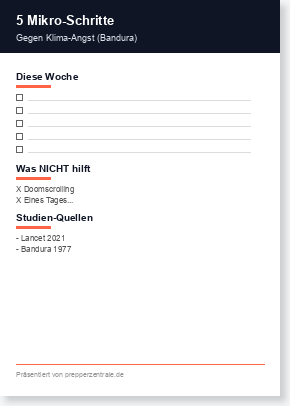 PDF-Vorschau