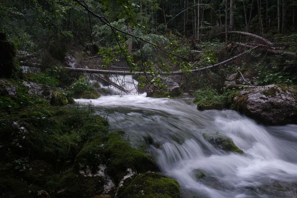 Wie viel Wasser pro Person bevorraten? Der Richtwert für deinen Notvorrat